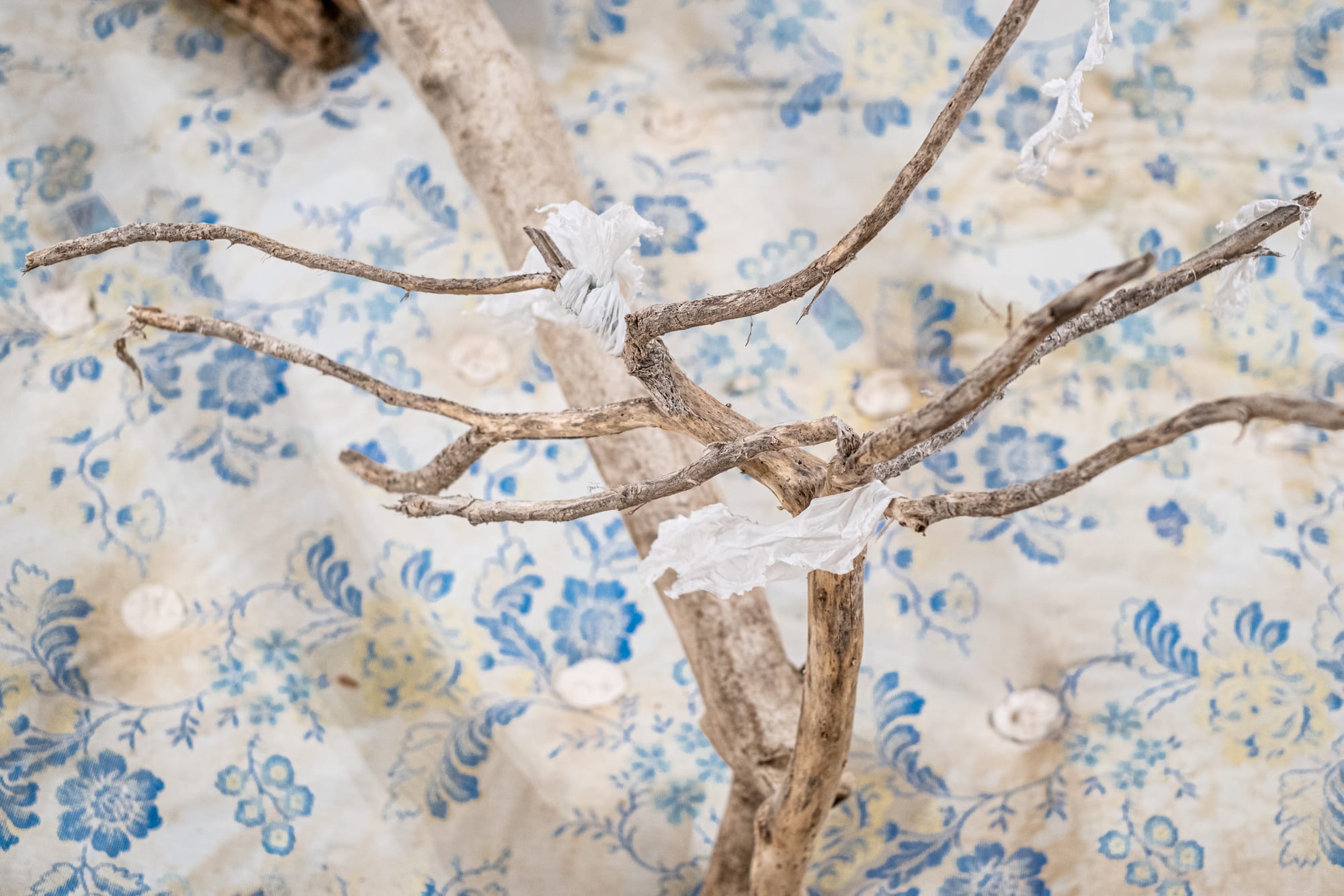 Where the beauty resides — 4